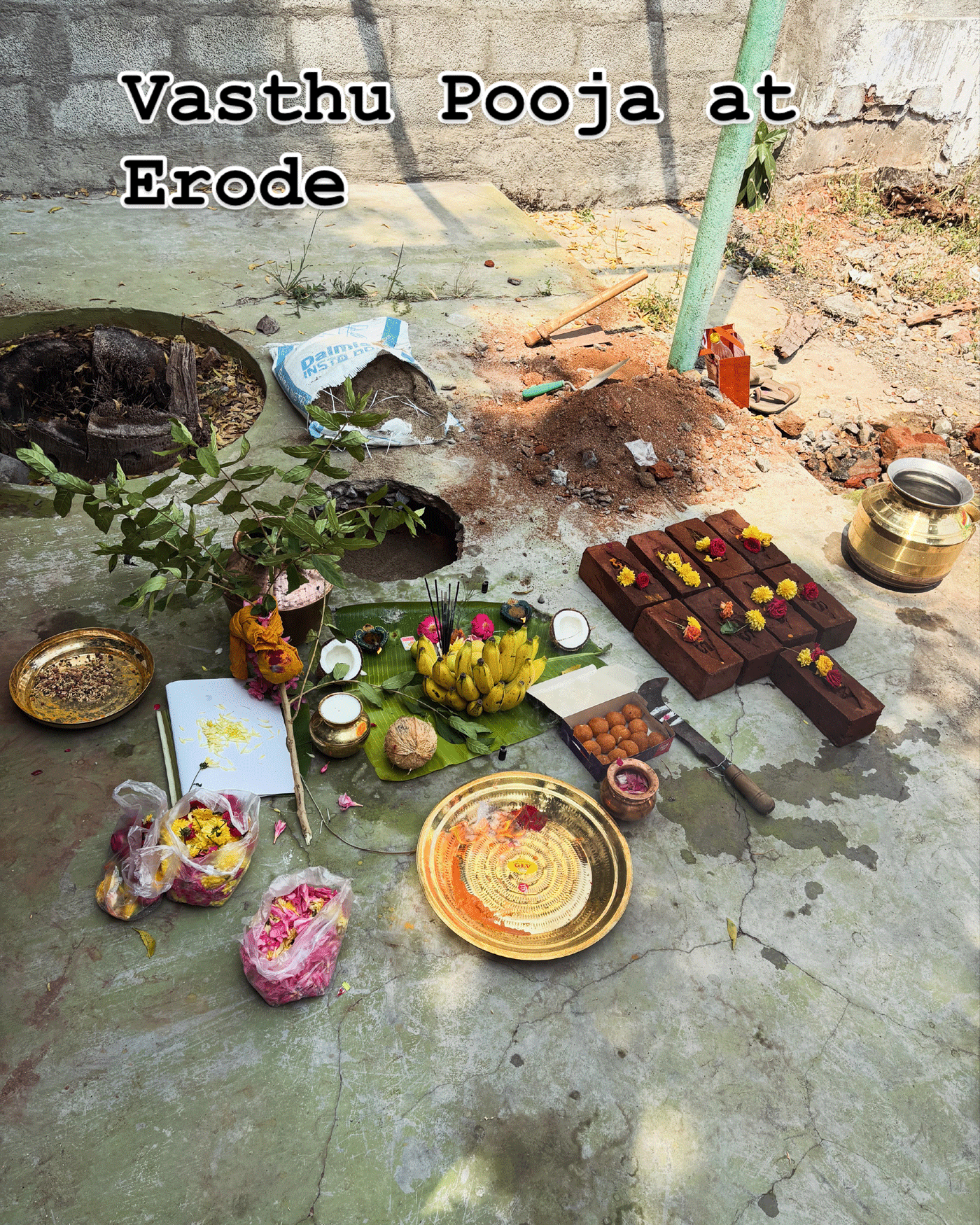 Sangee_projects_Com_310825_